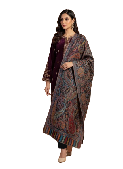 Kashmiri Lightweight Pashmina Stole Wrap | Rich Woven Multi-Color Design